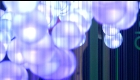 ndvd_019
